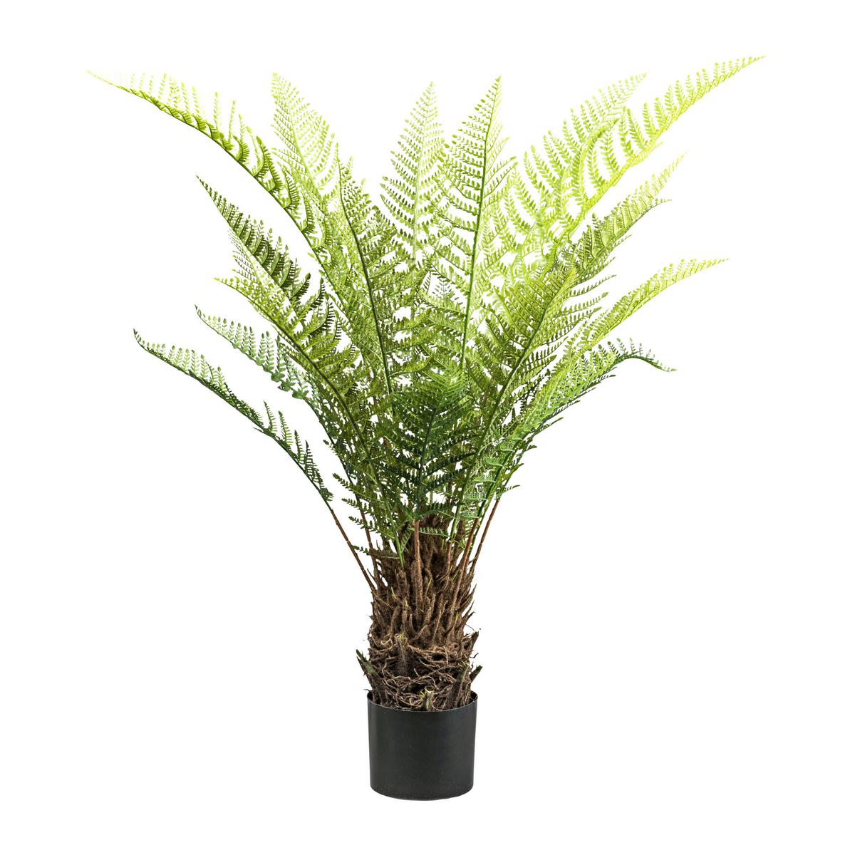 Kunstpflanze Baumfarn Dicksonia in Grün/Braun - Schwarz/Braun, Lifestyle, Kunststoff (115cm) - Modern Living