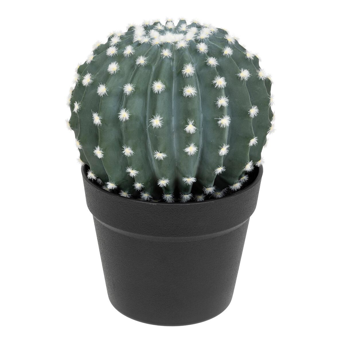 Cactus decorativ Exotic Panama - Modern (25cm)