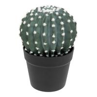 Cactus decorativ Exotic Panama - Modern (25cm)