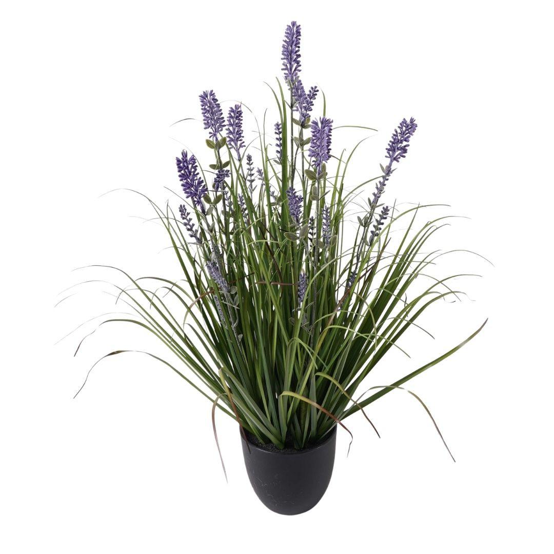 Műnövény Purple - lila/fekete, műanyag (35/56cm)