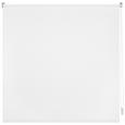 Rolo Za Pritrjevanje Daylight - bela, Moderno, tekstil (45/150cm) - Mömax modern living