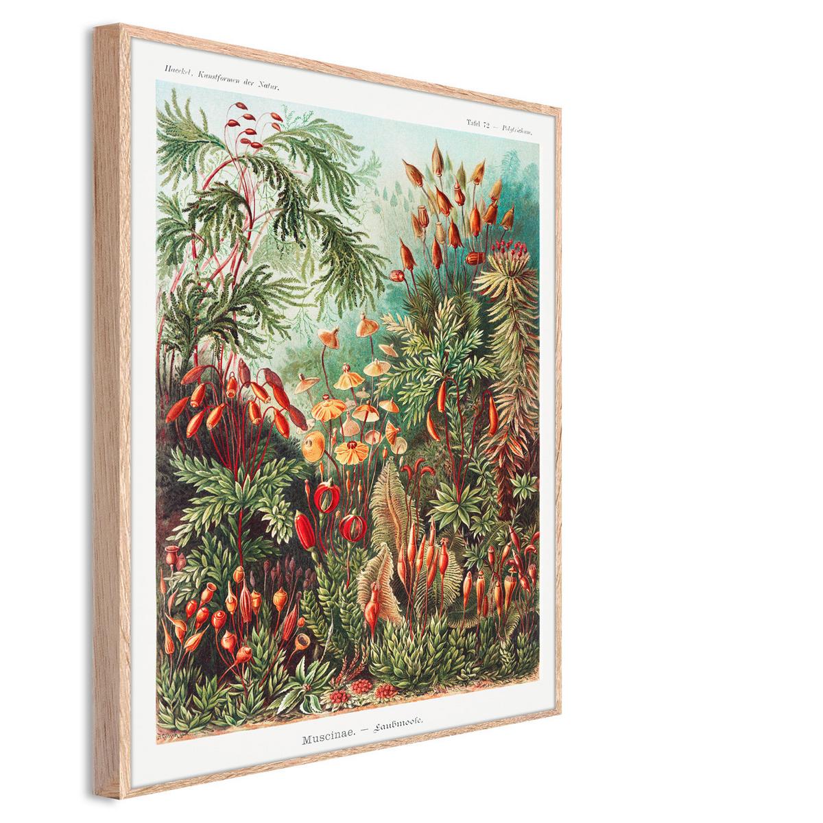 Bild Image ca. 50x70cm - Hellbraun/Multicolor, Holzwerkstoff/Papier (50/70cm) - Modern Living