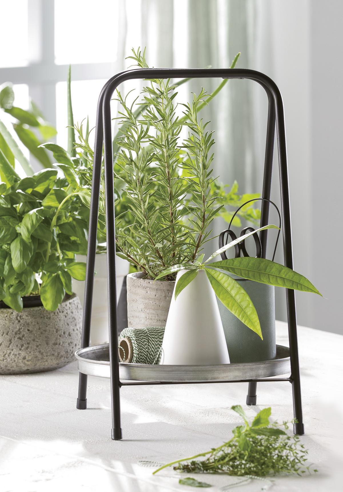 Dekor Tálca Zink - fekete, Modern, fém (25.5/25.5/39cm) - Modern Living