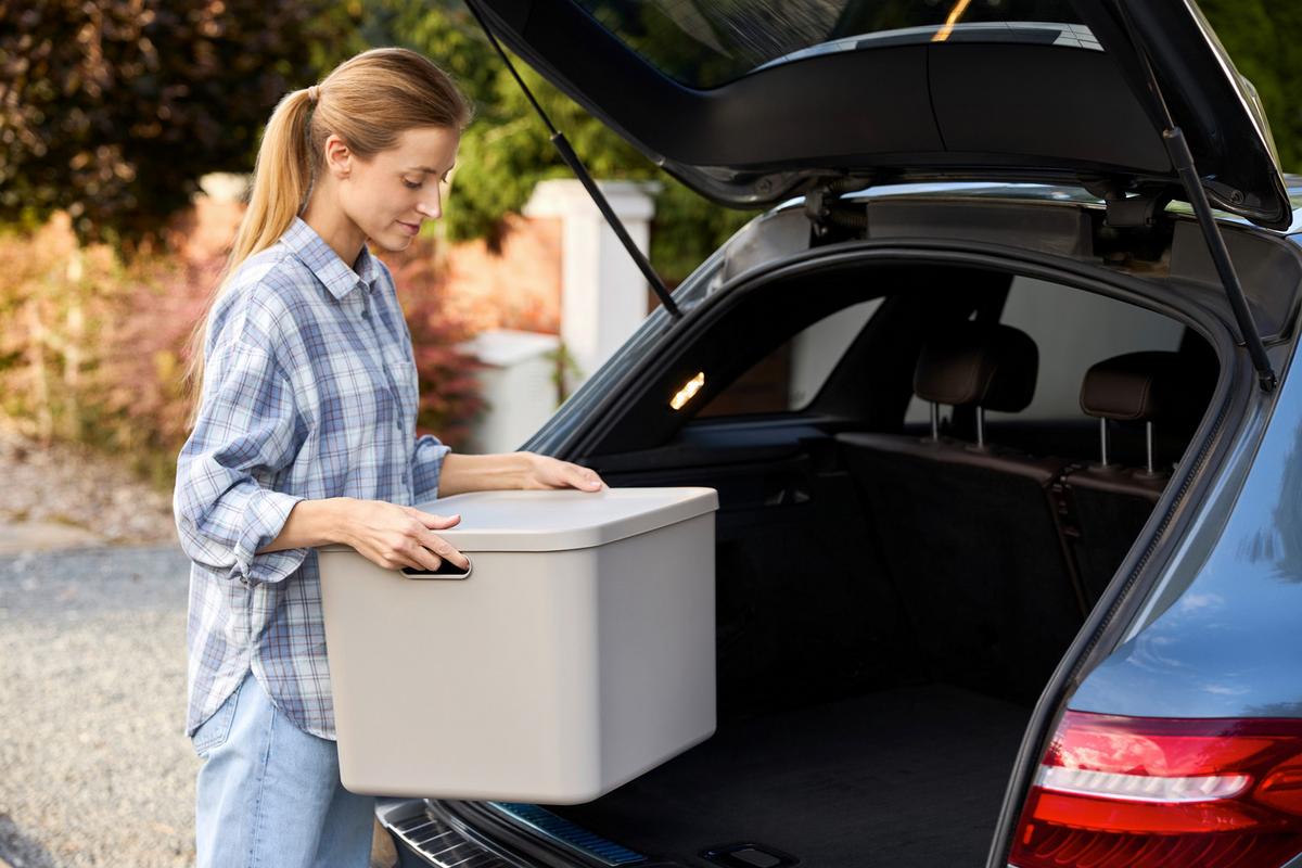 POJEMNIK DO PRZECHOWYWANIA 1068207422 - cappuccino, Konventionell, tworzywo sztuczne (48,9/40,5/34cm) - Rotho