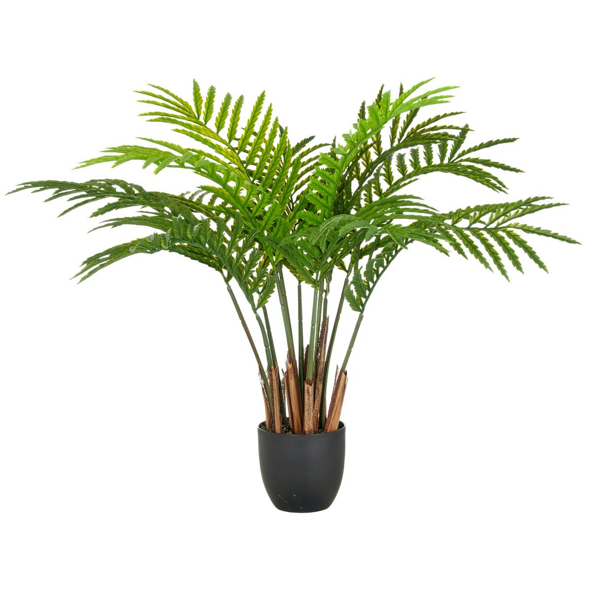 Kunstpflanze Sumpf- Lappenfarn Grün ca. 80cm - Schwarz/Braun, Basics, Kunststoff (80cm) - P & B