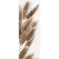 OBRAZ NA SZKLE GB-BMM1143 - kolor naturalny/biały, Natur, szkło (30/80/1,40cm) - Euroart