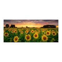 Glasbild Sunflowers Multicolor ca. 125x50cm - Multicolor, Basics, Glas/Papier (125/50cm)