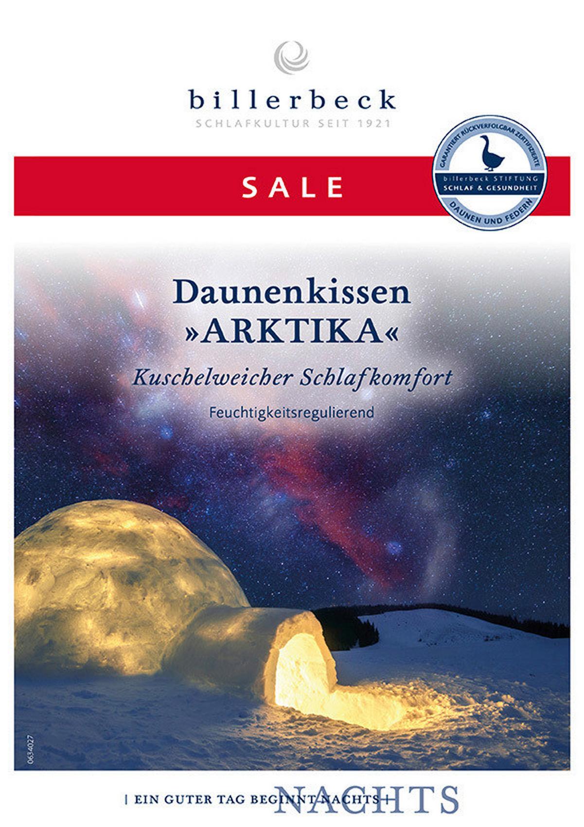 PODUSZKA POD GŁOWĘ ARKTIKA 15 - Basics, tkanina (80/80cm) - Billerbeck