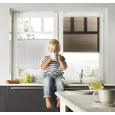 Plise Free - antracit, tekstil (60cm) - Mömax modern living Plise Free - antracit, tekstil (60cm) - Mömax modern living
