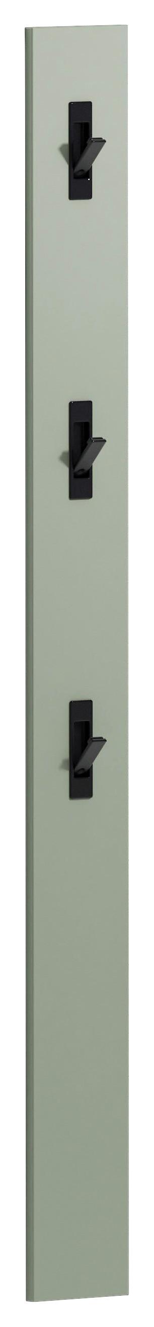 PANEL DO PRZEDPOKOJU IDEA/TANKO - zielony, Design, materiał drewnopochodny (15/170/2cm) - Xora