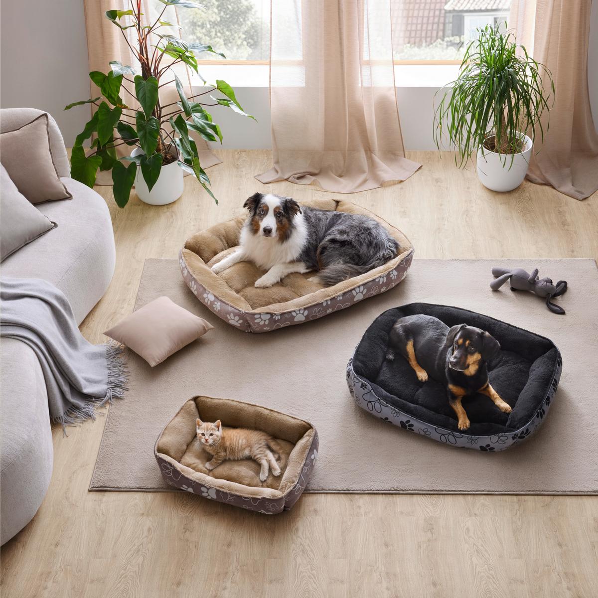 Haustierkissen Cubus Braun - Braun, Textil (60/80/17cm) - Mömax