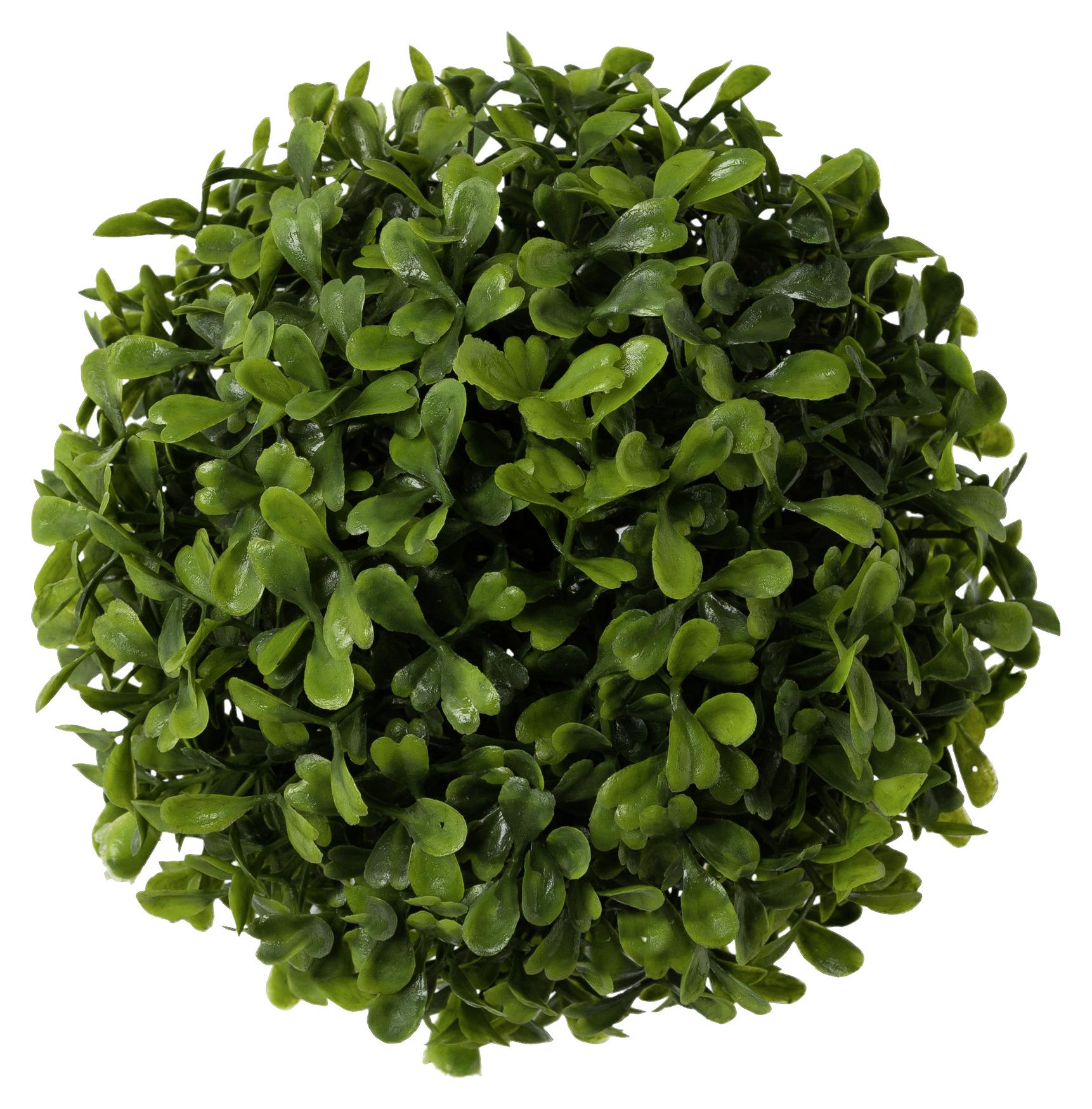 Műnövény Buxus - Zöld, Natur, Műanyag (15cm) - Modern Living
