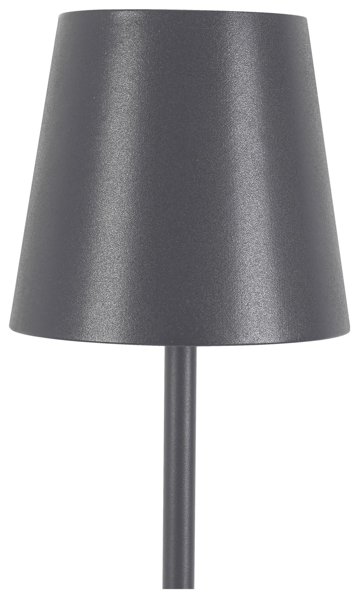 LED Állólámpa Ausi - antracit, Modern, műanyag/fém (22/130cm) - Modern Living