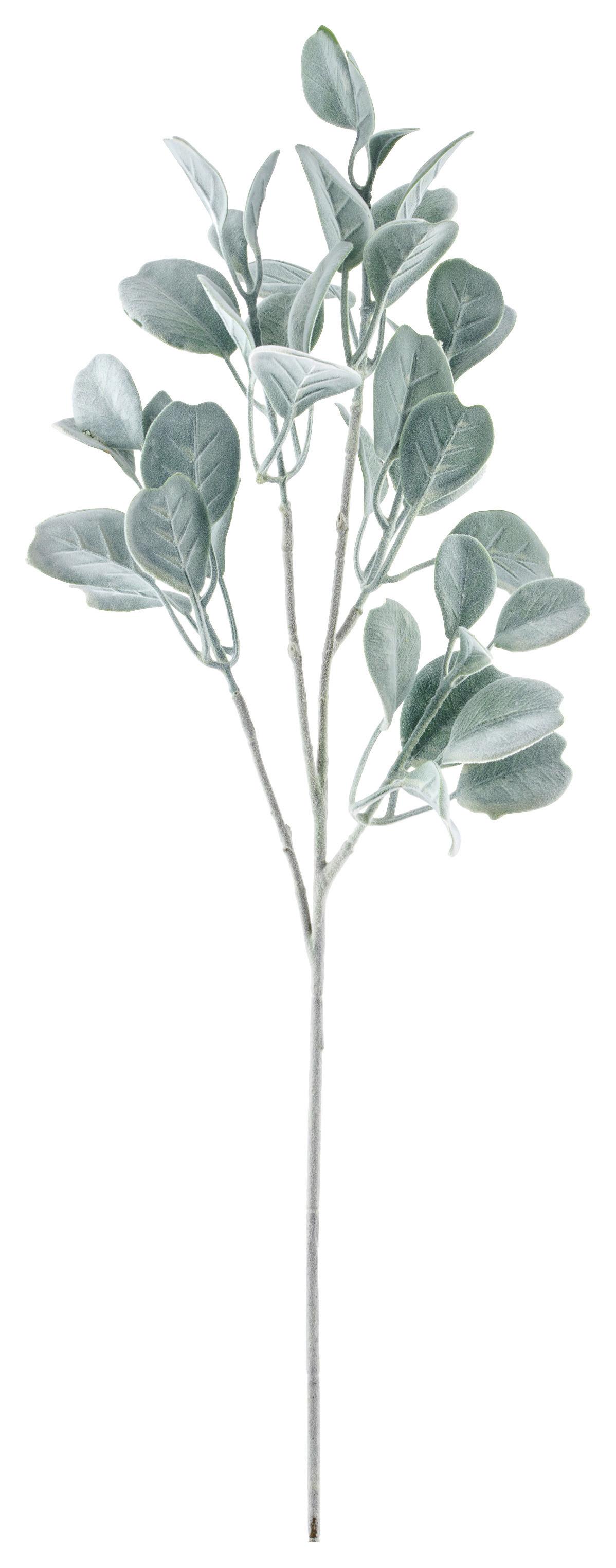 Kunstpflanze Salvienzweig I Grau ca. 71cm - Grau, Basics, Kunststoff (71cm) - Mömax