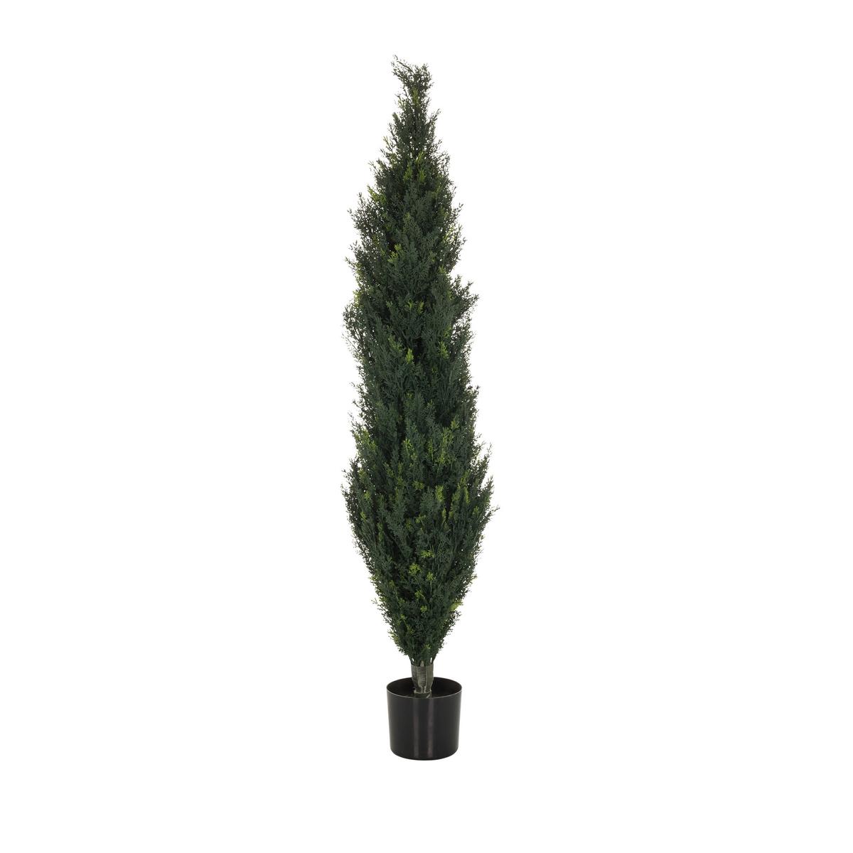 Umetna Rastlina Cedrus - črna/zelena, Basics, umetna masa (35/152/35cm) - MID.YOU