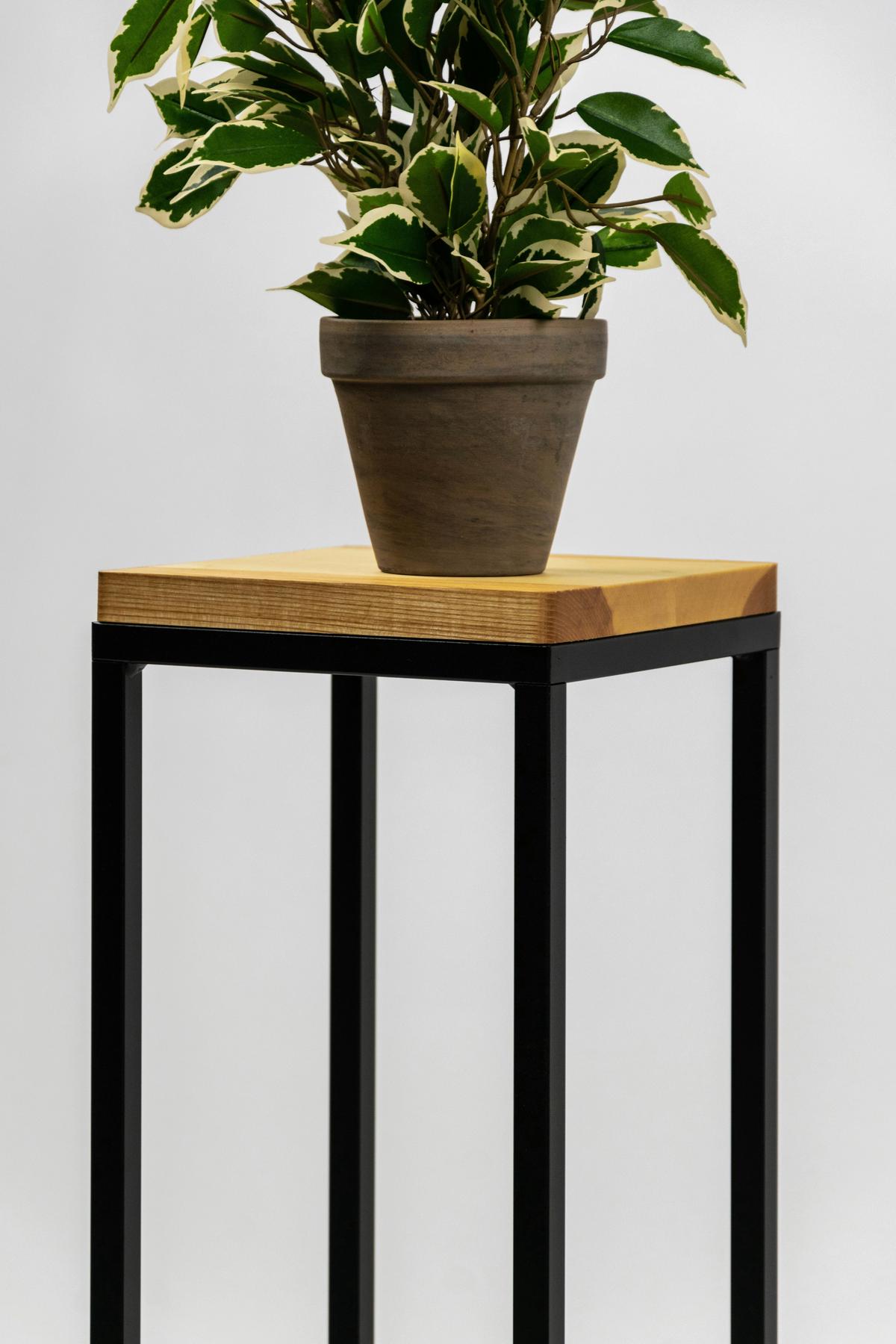 Blumenständer Schwarz - Schwarz, Basics, Holz/Metall (19/62/19cm)