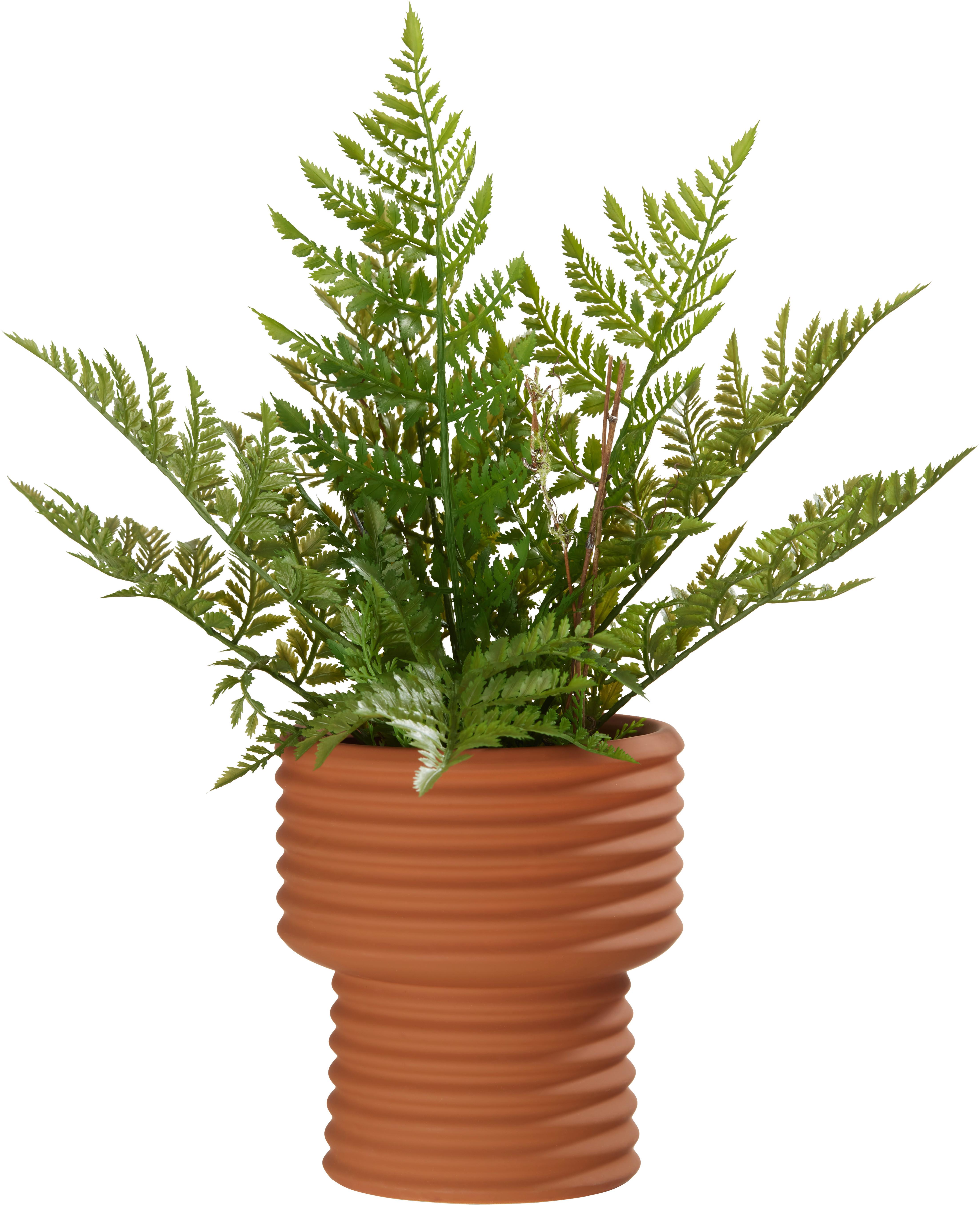 Übertopf Lilian in Braun - Braun, Basics, Keramik (16/18cm) - Modern Living