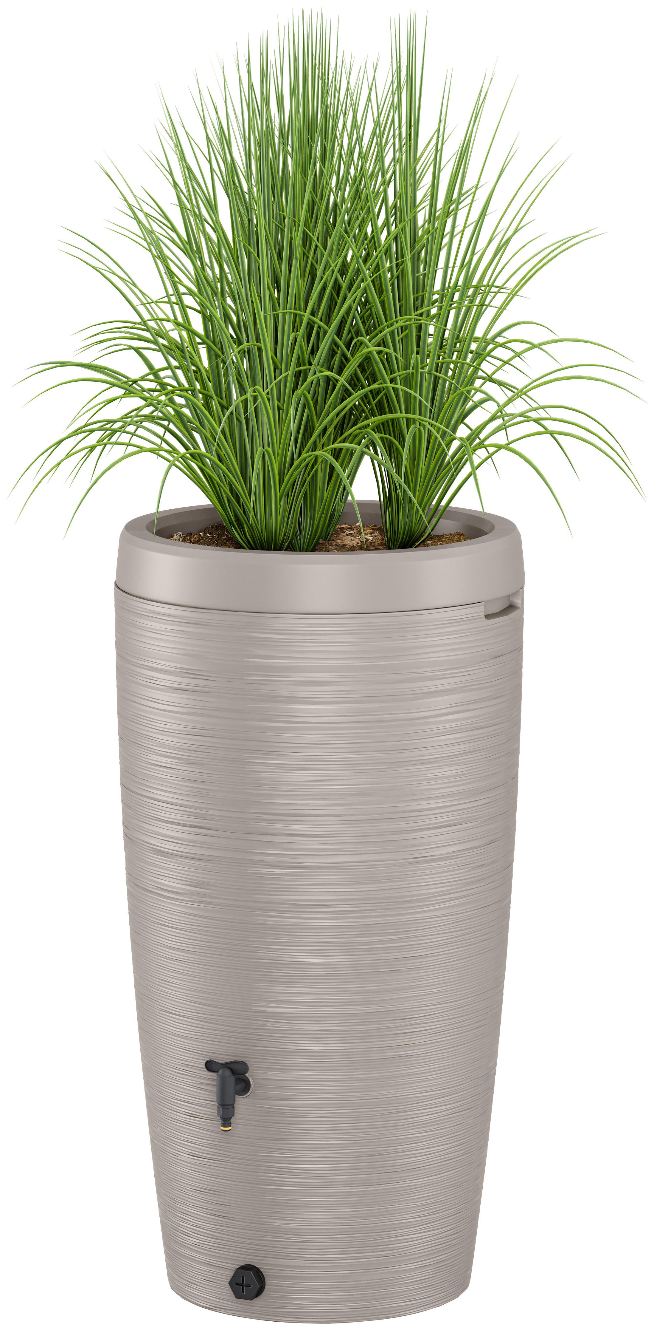 Übertopf Regentonne Gubo Grau - Grau, KONVENTIONELL, Kunststoff (59,5/112/59,5cm) - Mömax