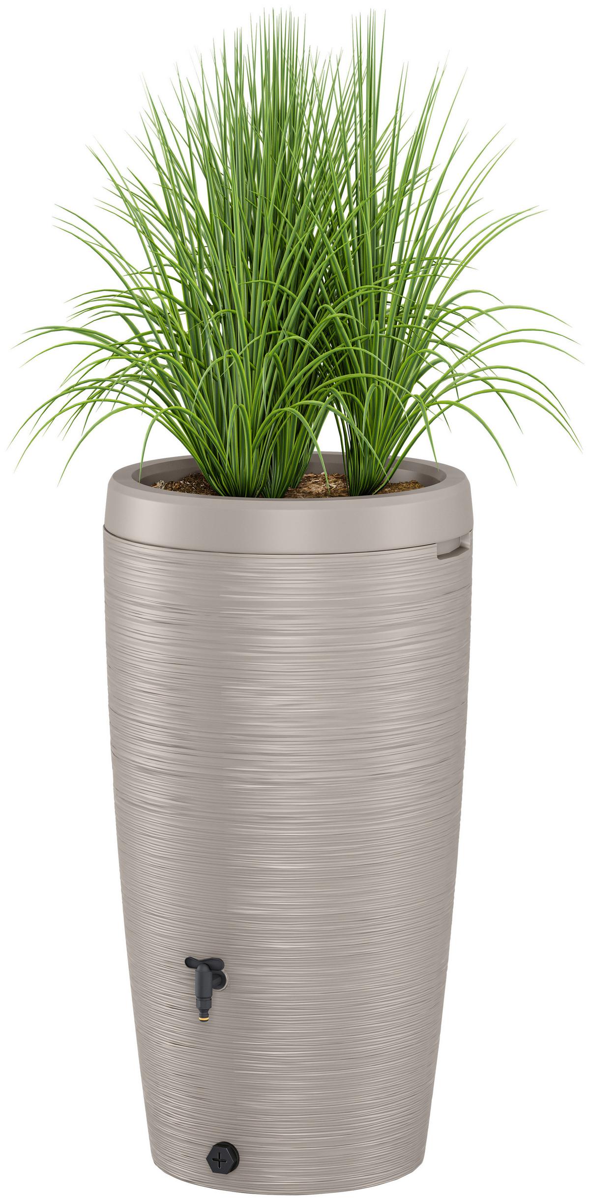 Übertopf Regentonne Gubo Grau - Grau, KONVENTIONELL, Kunststoff (59,5/112/59,5cm) - Mömax