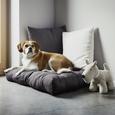 Pernă Decorativă Bigmex - antracit, textil (65/65cm) - Modern Living Pernă Decorativă Bigmex - antracit, textil (65/65cm) - Modern Living