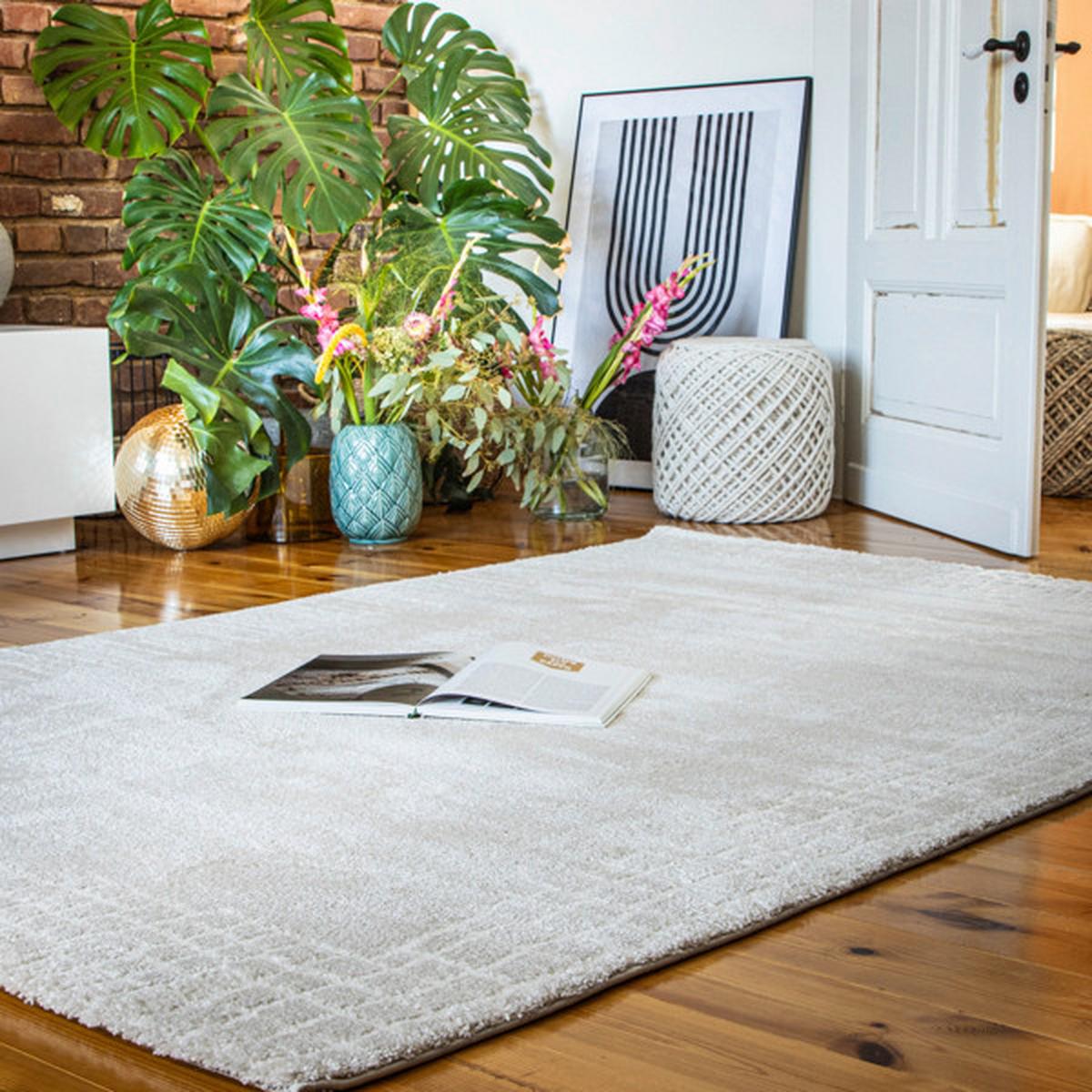 HOCHFLORTEPPICH MY CANYON 972 - Creme, Basics, Textil (80/150cm)