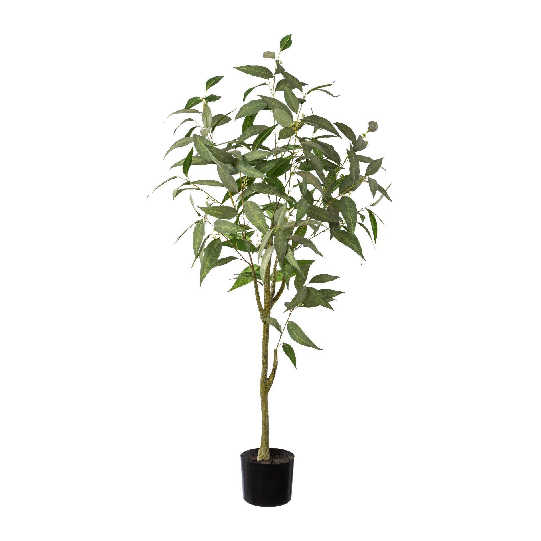 Kunstpflanze Eucalyptusbaum in Grün/Braun - Braun/Grün, Basics, Kunststoff (120cm) - Modern Living