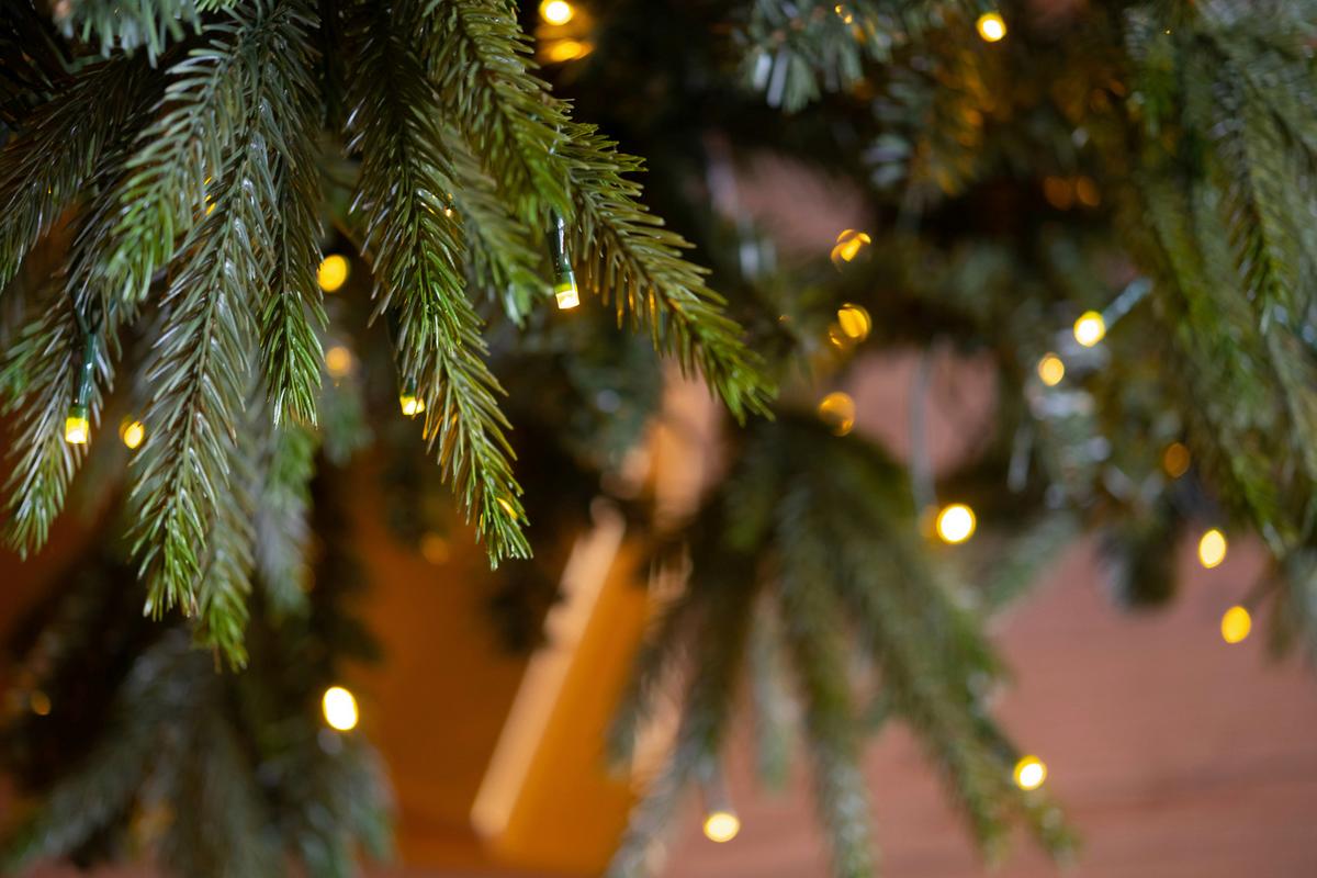 Weihnachtsbaum Evergreen Richmond Grün H: ca. 228cm - Waldgrün, Basics, Kunststoff (142/228cm)