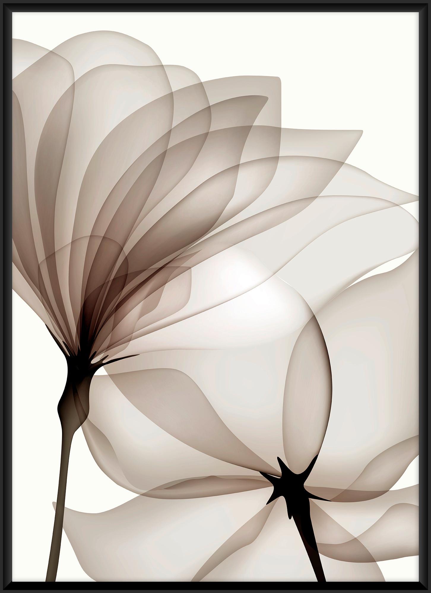Bild Kenzo Multicolor ca. 50x70cm - Multicolor/Schwarz, Holzwerkstoff/Papier (50/70cm) - Modern Living