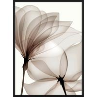 Slika Kenzo - črna/večbarvno, papir/leseni material (50/70cm) - Modern Living