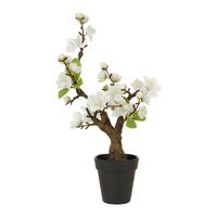 Kunstpflanze Kirschblütenbonsai Grün - Schwarz/Weiß, Basics, Kunststoff (32cm) - Modern Living