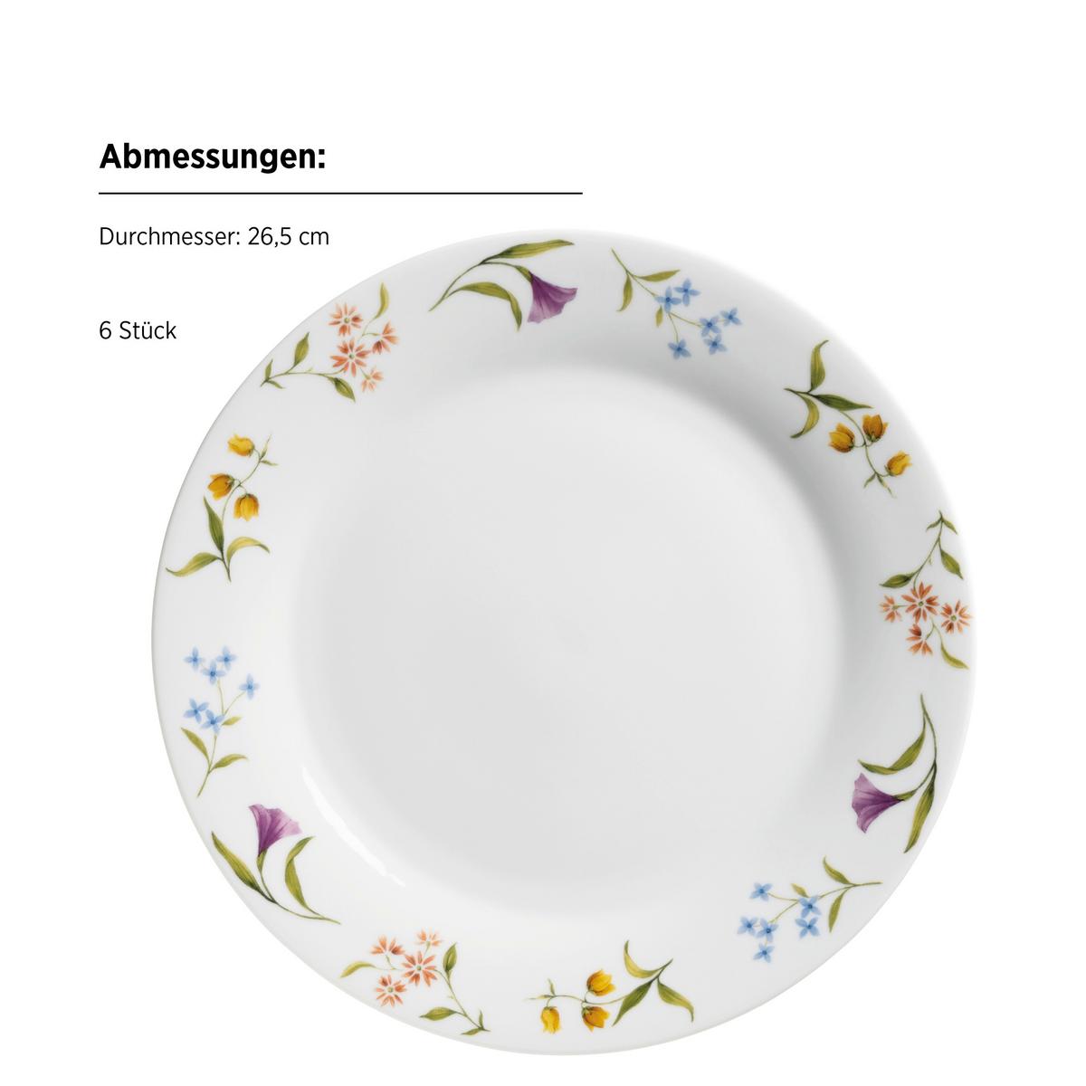 TAFELSERVICE 934135 TAFELSERVICE ZOSMA - Weiss, Basics, Keramik - Mäser