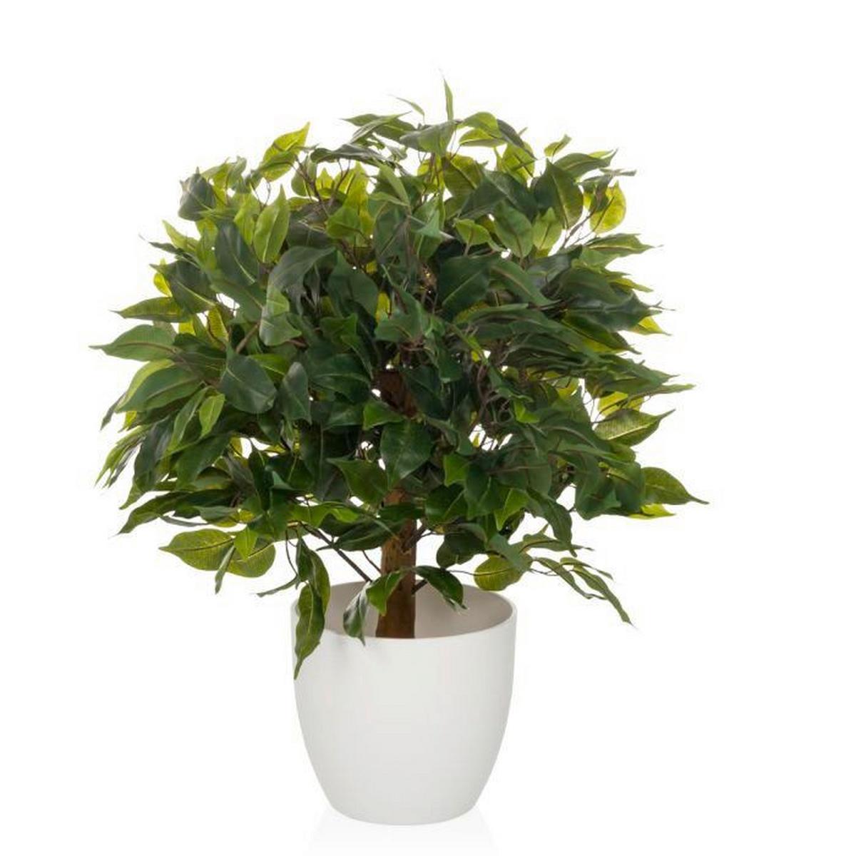 Umetna Rastlina Ficus I - zelena/bela, Moderno, umetna masa (40/65/40cm) - MID.YOU