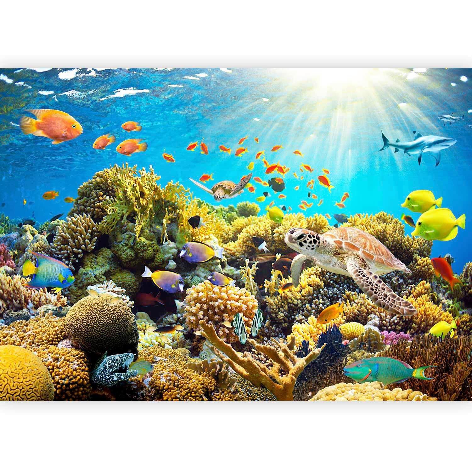 Fototapeta Underwater Land, 100x70cm - večbarvno, Trendi, tekstil (100/70cm) - artgeist
