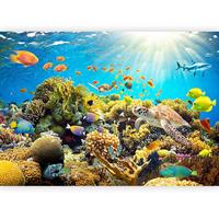 Fototapeta Underwater Land, 100x70cm - večbarvno, Trendi, tekstil (100/70cm) - artgeist