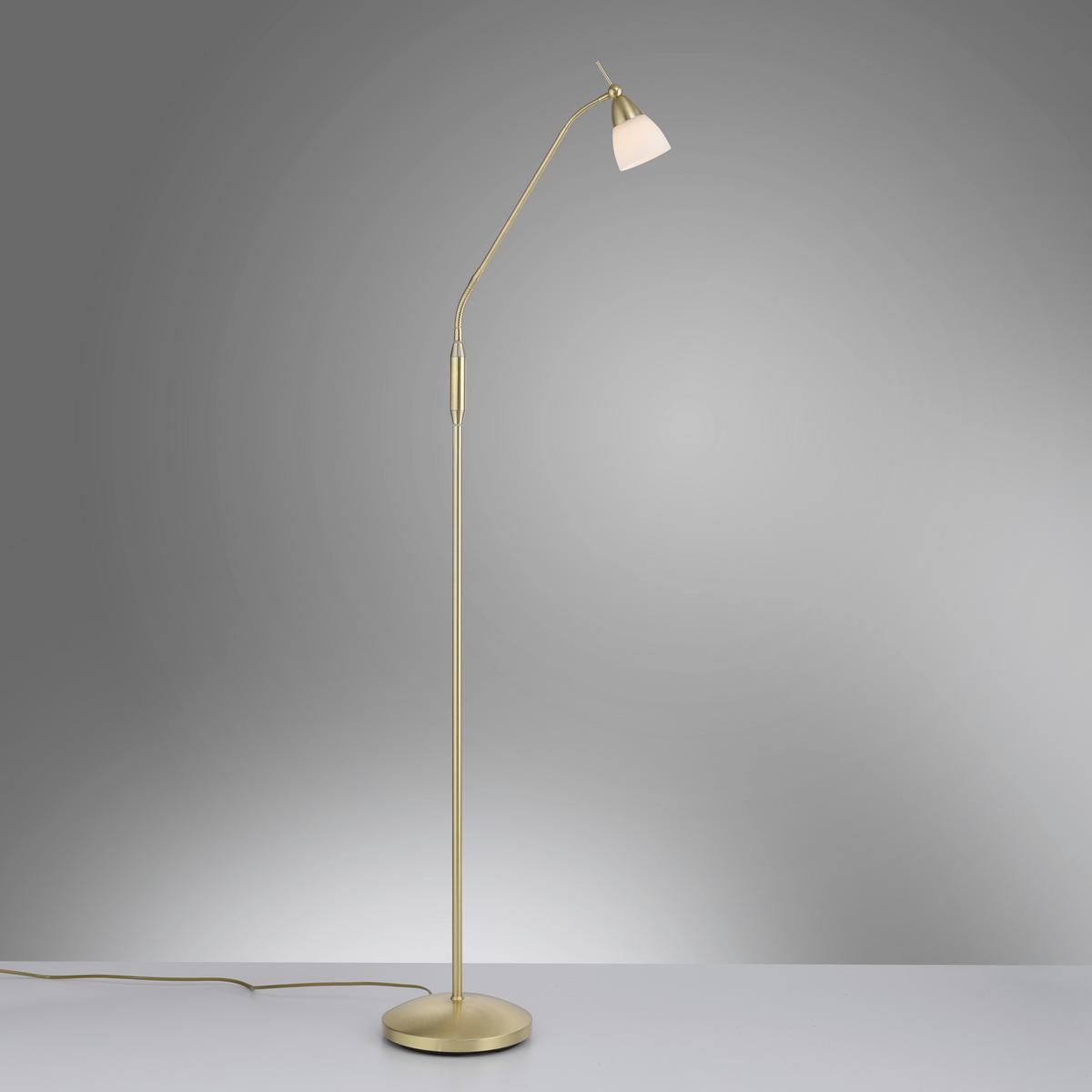 LED-Stehleuchte Pino Dimmbar max. 2,6 Watt - Basics (74/74/163cm) - Paul Neuhaus