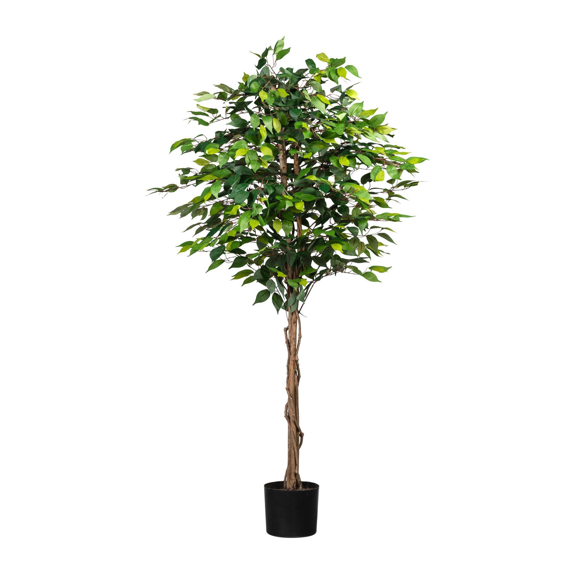 Kunstpflanze Grünpflanzen Grün/Braun/Schwarz - Schwarz/Braun, Basics, Naturmaterialien/Kunststoff (180cm)