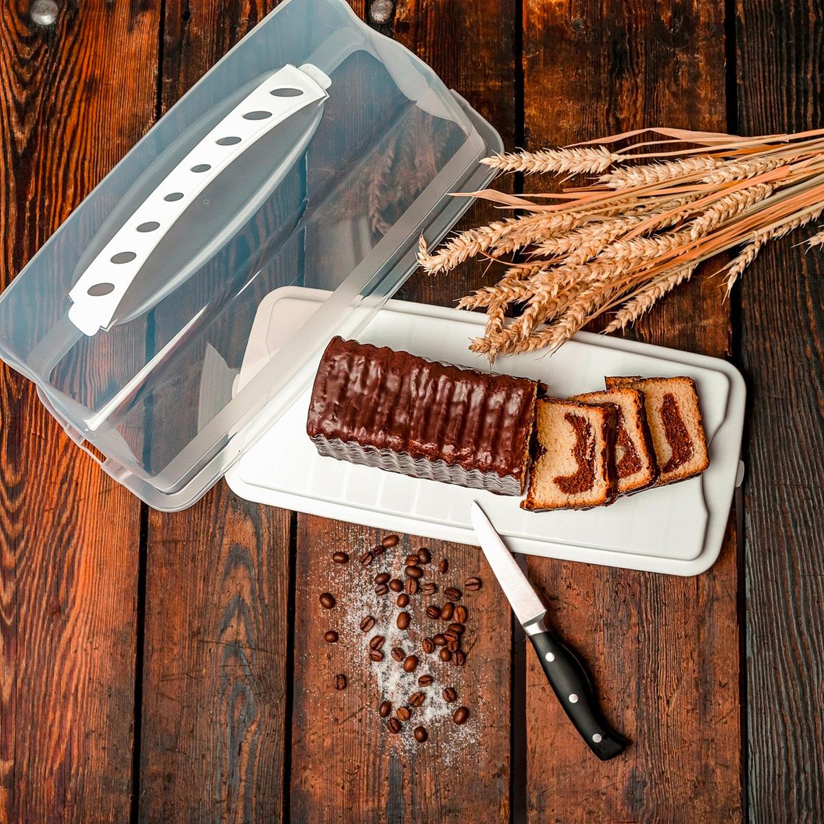 POJEMNIK DO TRANSPORTU CIASTA FRESH - biały/przezroczysty, Basics (36/16,5/16,5cm) - Rotho