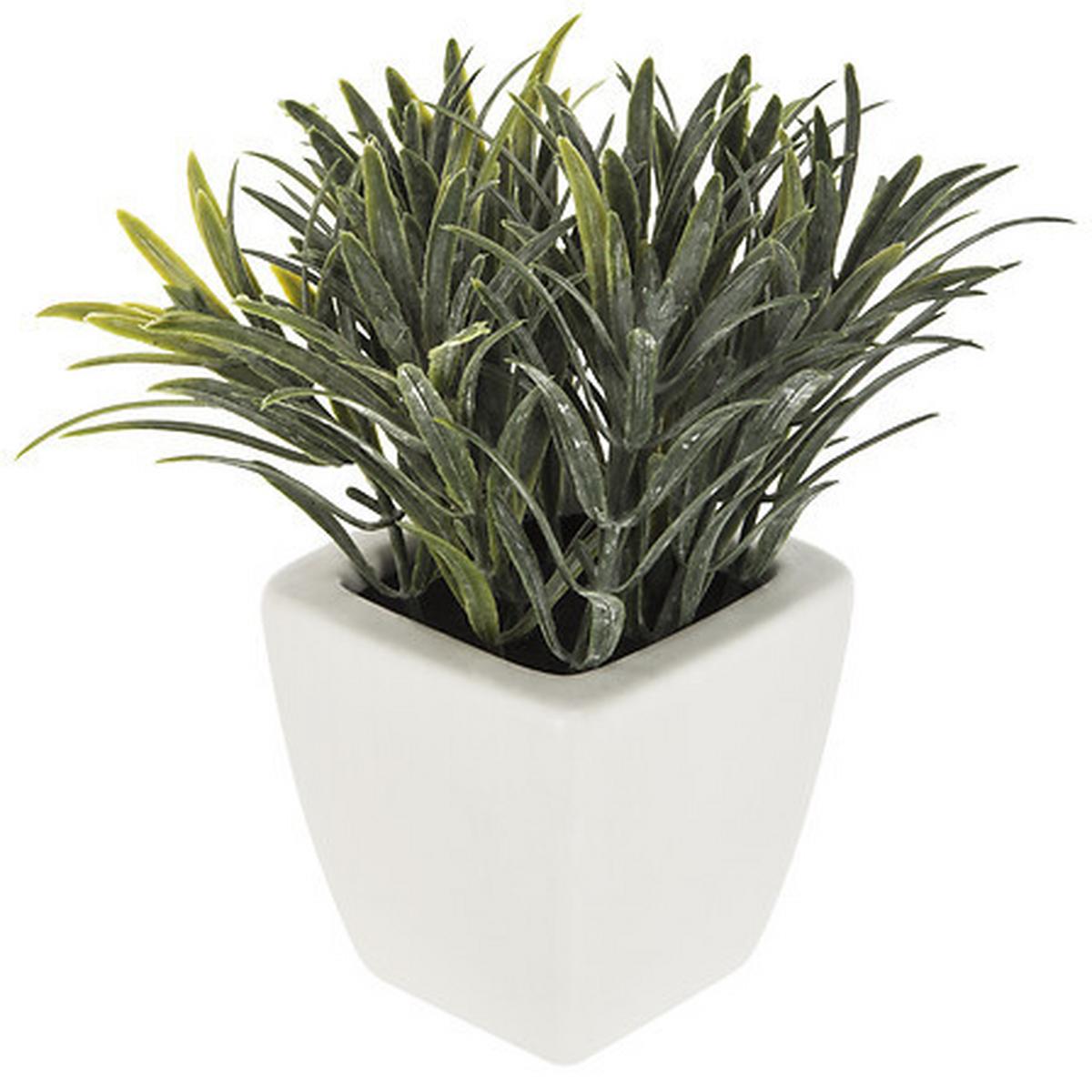 Plantă artificială Blanc - Basics (16/16/15cm)