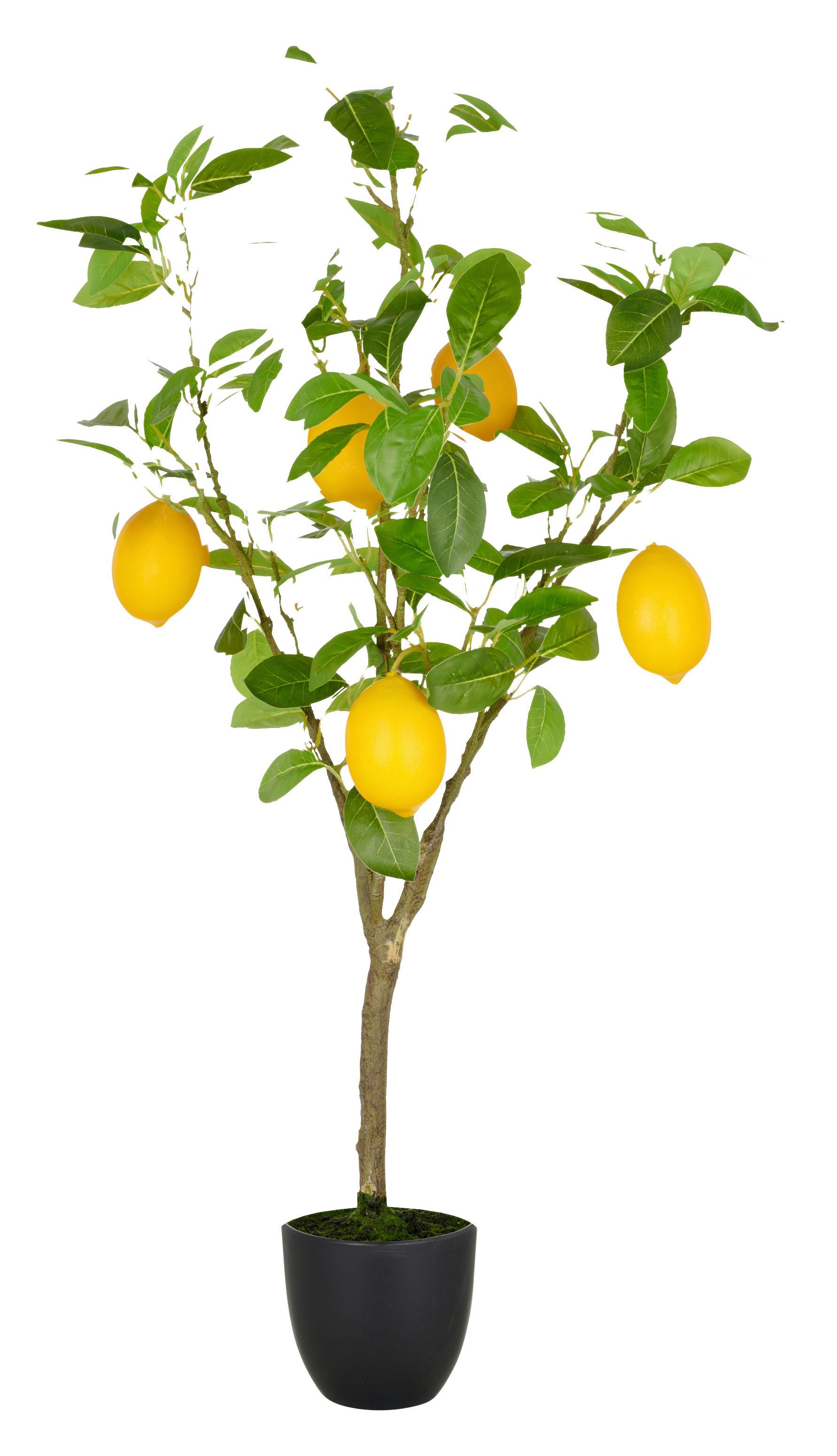 Kunstpflanze Zitronenbaum Gelb/Grün ca. 90cm - Gelb/Braun, Basics, Kunststoff (21/90/21cm)