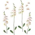 Dekosticker Orchidee in Weiß - Multicolor, Kunststoff (50/70cm) - MÖMAX modern living
