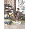 Regal aus Metall in Antik - Dunkelbraun, LIFESTYLE, Holz/Metall (160/200/40cm) - PREMIUM LIVING
