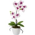 Plantă Artificială Orchidee - roz aprins/mov, plastic/metal (11/60cm) - Mömax modern living Plantă Artificială Orchidee - roz aprins/mov, plastic/metal (11/60cm) - Mömax modern living