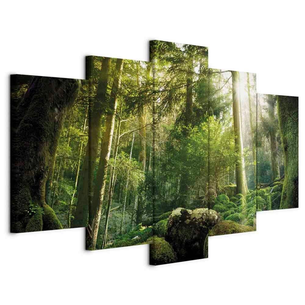 Slika Na Platnu The Beauty Of The Forest - temno zelena/svetlo zelena, Basics, tekstil/leseni material (100/50/1.2cm) - artgeist