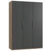 Drehtürenschrank Level 36A ca. 150x216x58cm Graphitfarben - Chromfarben/Eichefarben, MODERN, Holzwerkstoff (150/216/58cm) - MID.YOU