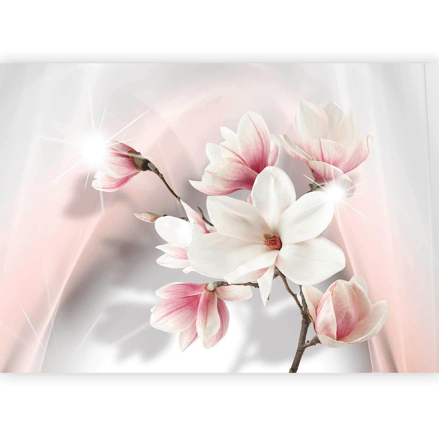 Fotótapéta Hde-Xlnew011367 - pink/fehér, Lifestyle, textil (250/175cm) - artgeist