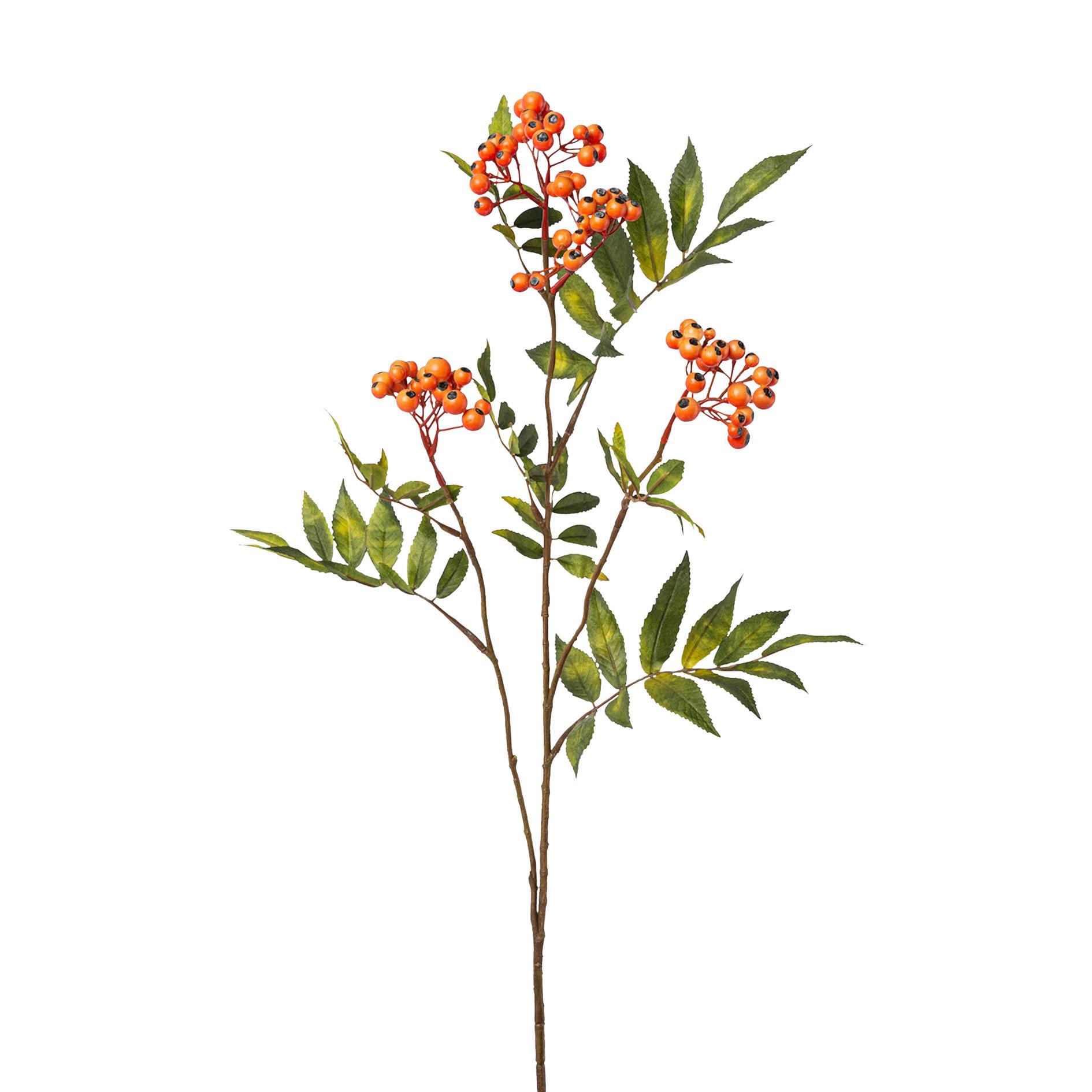Ramură decorativă Ebereschenzweig I - verde/portocaliu, Konventionell, plastic (84cm) - Modern Living