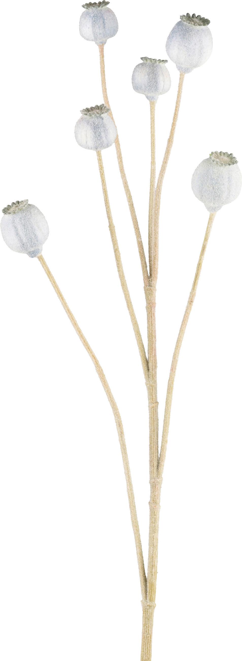 Mohn I Hellblau/Grün - Hellblau/Grün, KONVENTIONELL, Kunststoff (79cm) - Modern Living