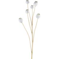 Mohn I Hellblau/Grün - Hellblau/Grün, KONVENTIONELL, Kunststoff (79cm) - Modern Living