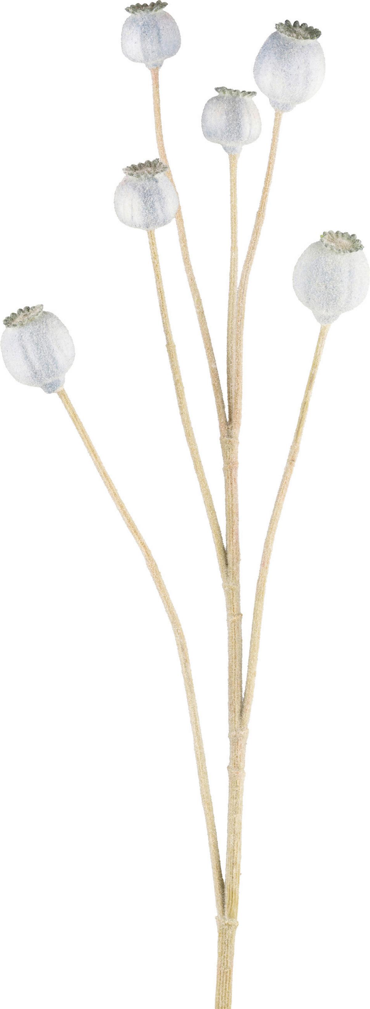 Mohn I Hellblau/Grün - Hellblau/Grün, KONVENTIONELL, Kunststoff (79cm) - Modern Living