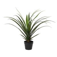 Plantă artificială Ethan, cca. 70x70 cm - verde/negru, Basics, plastic (70/70cm)